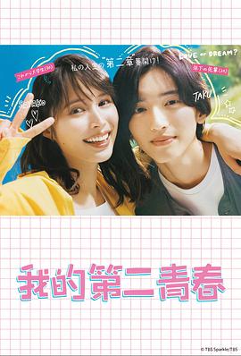 专业的网站开发优化